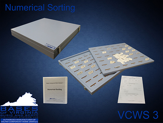 VCWS 3 Numerical Sorting