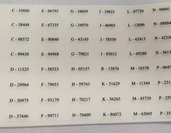 15D16     Decal to replace lettering on chips & board (2 sets)
