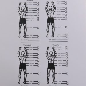 15S15     Body Position Chart