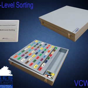 VCWS #7 Multi Level Sorting